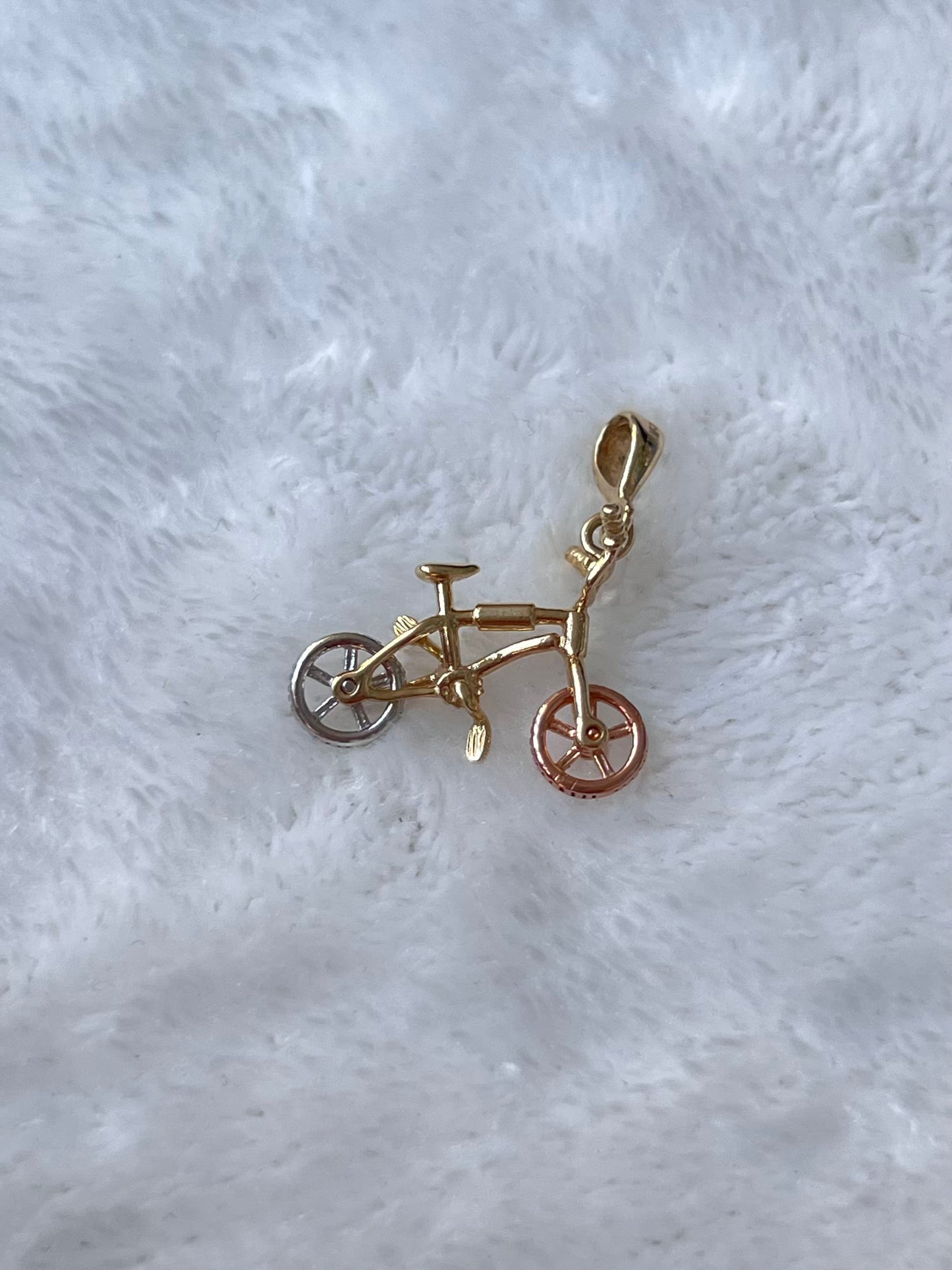 Bicicleta florentina