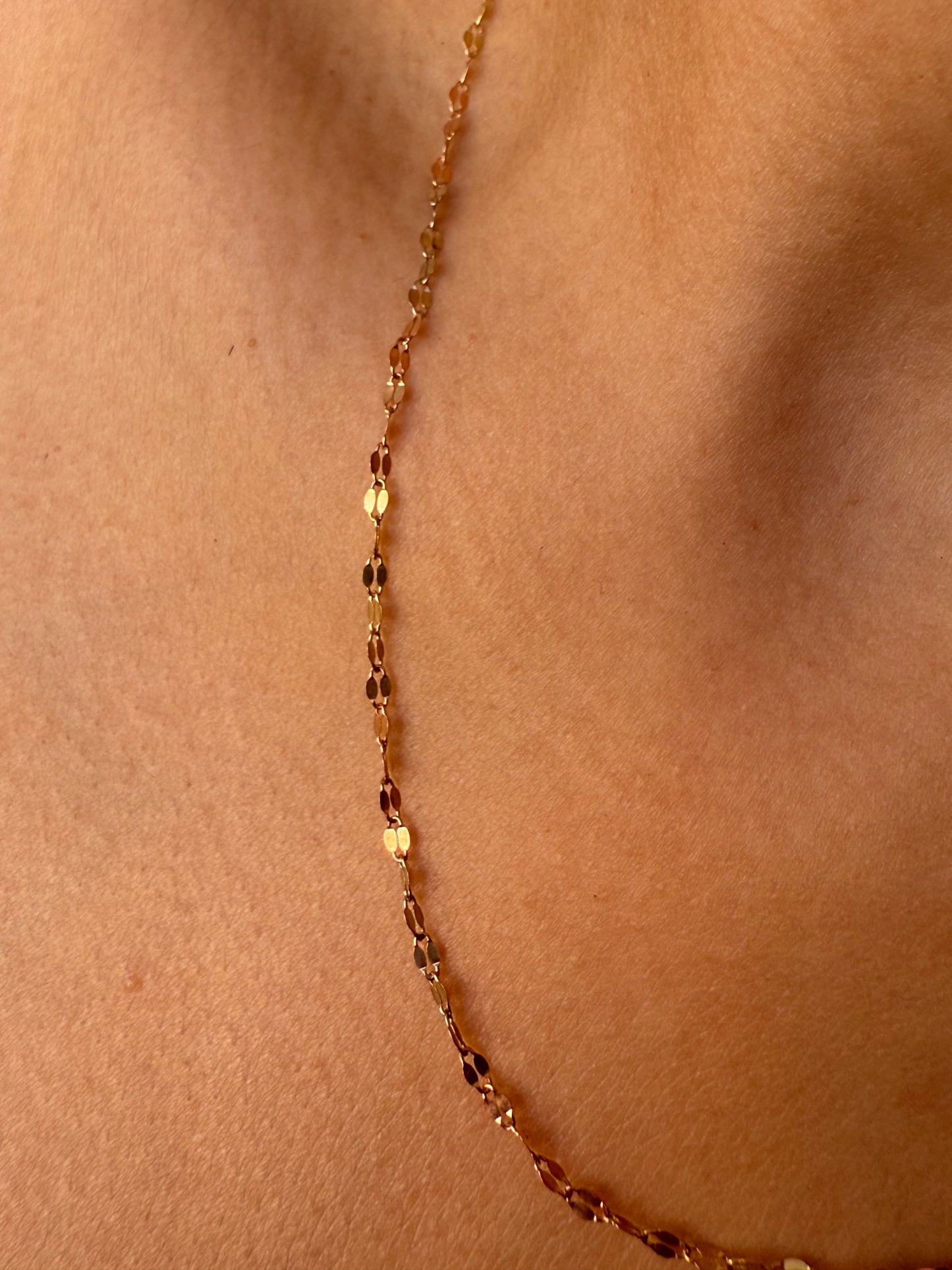 Grano de café florentina