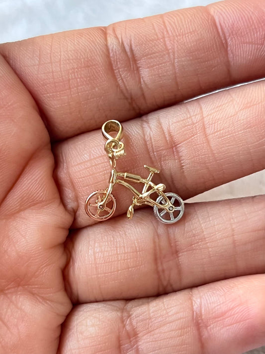 Bicicleta florentina