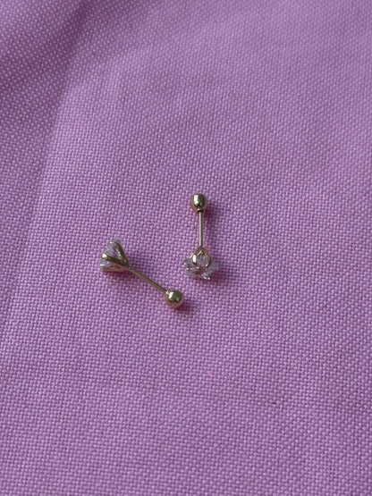 Recto estrella 5 uñas