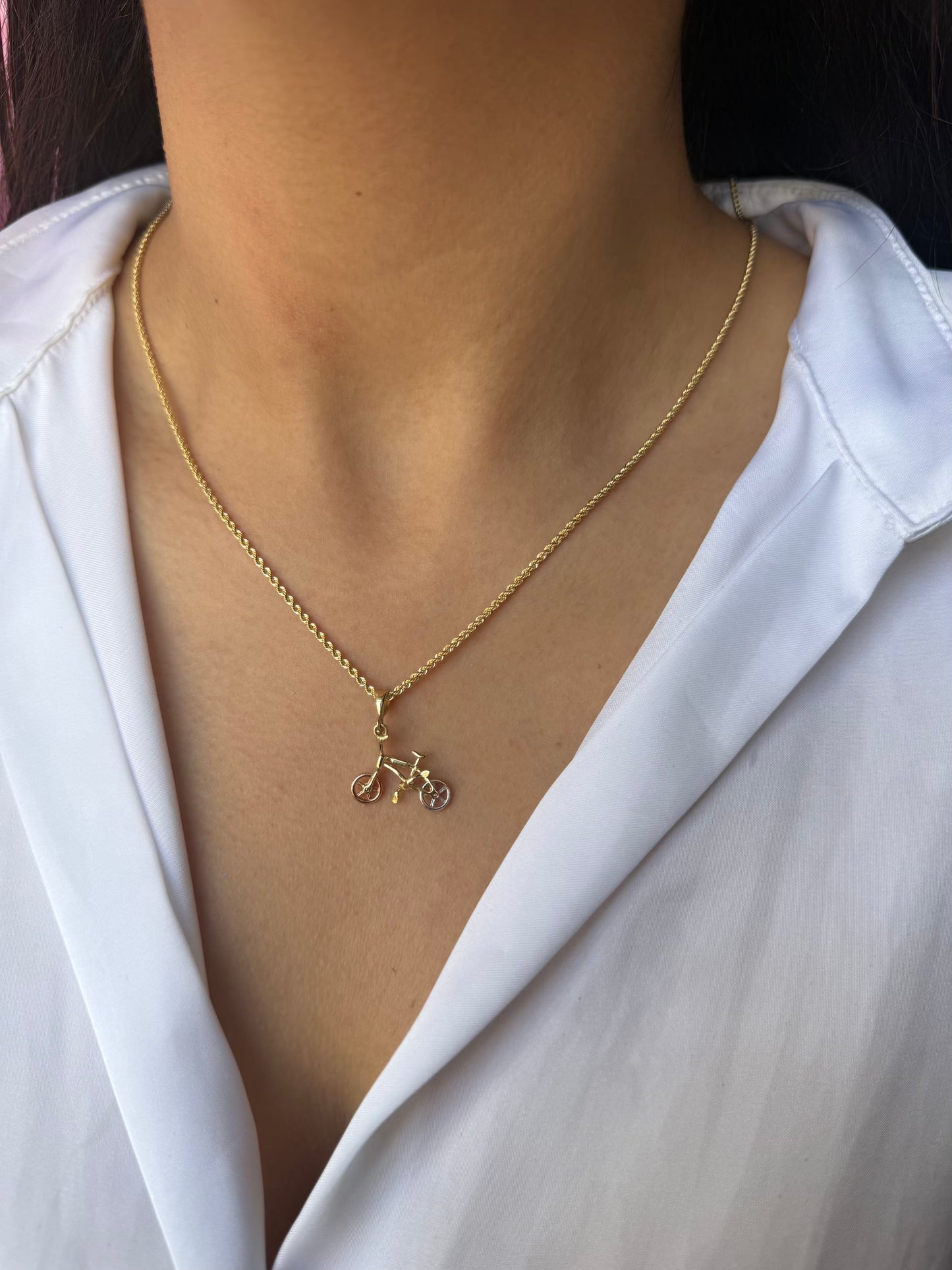 Bicicleta florentina